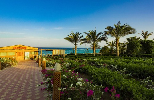 Marsa Alam Resort | Relax at Fantazia Resort Marsa Alam with Ocean Views & Spa