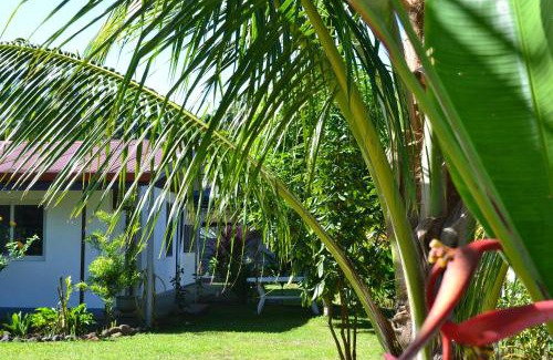 Teva I Uta House | Incredible faré apî: Child-Friendly with Top Amenities