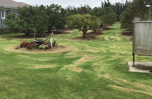 Waiharara Apartment | Peaceful Retreat: Quiet, Secluded Getaway with Top Amenities