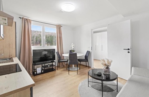 Leoben Apartment | Modern Apartment Perfect for Families and Pet Lovers