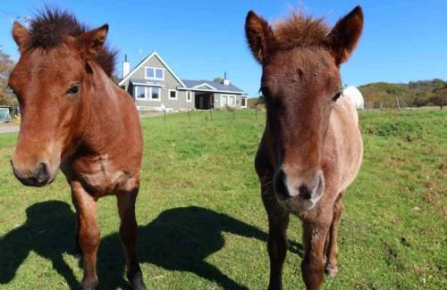Tsurui House | Inviting Farm Inn Torch B - Family-Friendly Getaway
