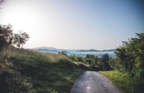Pazin Apartment | Discover Farm Stay Synergia: A Hidden Treasure Awaits