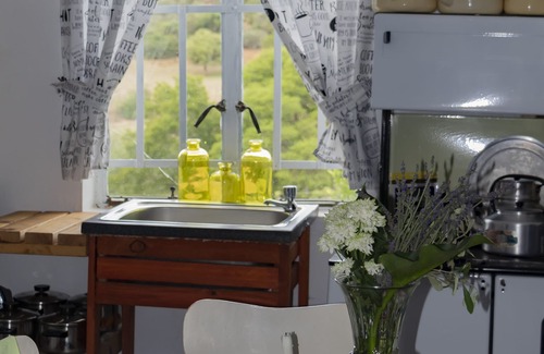Addo Apartment | Relaxing Farm Stays Surrounded by Nature's Beauty