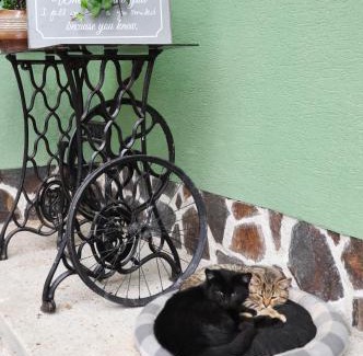 Valaska Bela House | Pet-Friendly Farma Opačitá - Guest Rated 9.9/10