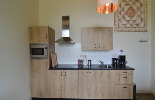 Geesteren Other | Idyllic Thatched Barn with Scenic Views and Family Amenities