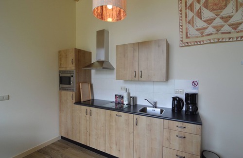 Geesteren Other | Idyllic Thatched Barn with Scenic Views and Family Amenities