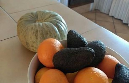 La Vall de Laguar Cottage | Cozy Farmhouse L'Era del Moll with Full Kitchen for 6