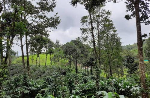 Elappara House | Cozy Farmstay in ചില്ലുകൂടാരം with Family-Friendly Amenities