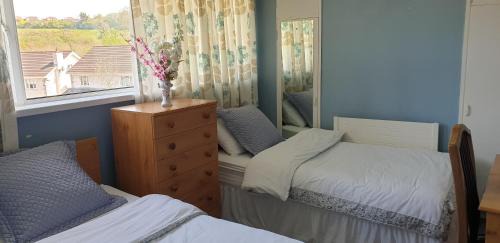 Cavan Bed & Breakfast | Cozy Bed and Breakfasts in Ireland - Ideal for Families