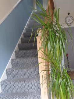 Cavan Bed & Breakfast | Cozy Bed and Breakfasts in Ireland - Ideal for Families