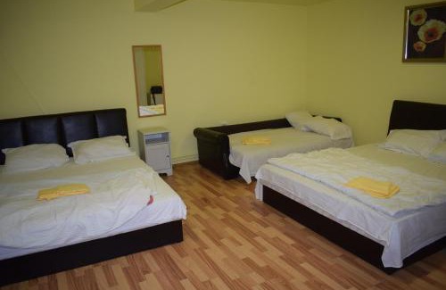 Rosiorii de Vede Hotel | Cozy Stay at Fata Verde - La Padure with Breakfast & Pets