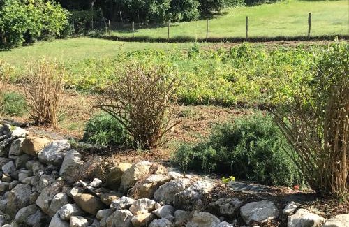 Cavalletto House | Discover Agriturismo Fattoria Antica Forconia Retreat