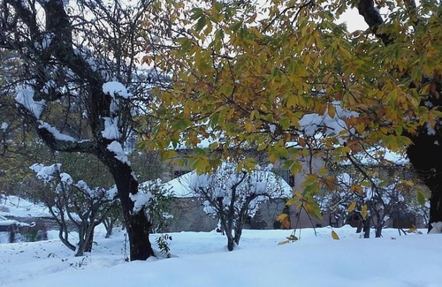 Roncoscaglia Bed & Breakfast | Fattoria La Guedrara: Family & Pet-Friendly Retreat