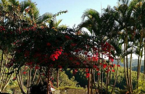 Mailasqui House | Discover Fazenda Carpas Douradas: Pet-Friendly Retreat