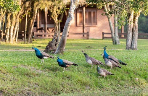 Maquine House | Experience Fazenda Pontal: Pet-Friendly with Pool & Hot Tub