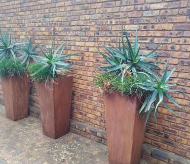 Zwartkop House | Feather Tree Guesthouse