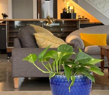 Grahamstown House | Cozy Featherstone View Cottage: Guest Rated 9.6/10