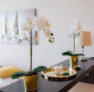Krumpendorf am Woerther See Apartment | Relax at Feel Good Resort: Pet-Friendly Oasis with Spa