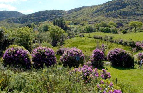 Lauragh House | Experience Comfort at Fehanaugh Cottage - Rated 9.7/10!