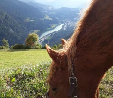 Vandoies Apartment | Highly Rated Felderhof: Family & Pet-Friendly Getaway