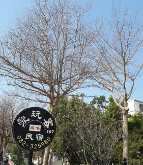 Jinning Bed & Breakfast | Enjoy Breakfast at Fengming B&B - Family Friendly Retreat