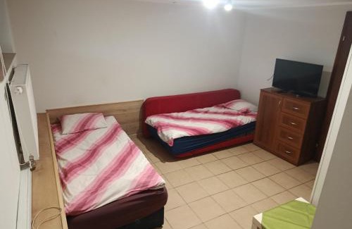 Grzybno House | Discover Fenix Grzybno: Pet-Friendly with Breakfast Included