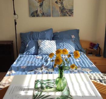 Szalkszentmarton Apartment | Pet-Friendly Fenyves-lak with 9.4/10 Guest Rating