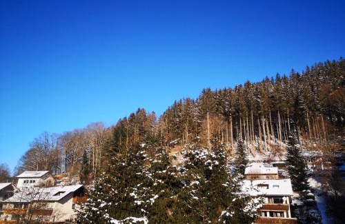 Baiersbronn Apartment | Experience Tranquility at Ferien am Wald - Rated 9.5/10