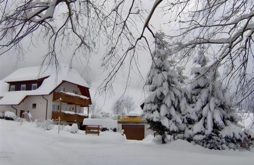 St. Peter im Schwarzwald Apartment | Family-Friendly Getaway at Ferien auf dem Steingrubenhof