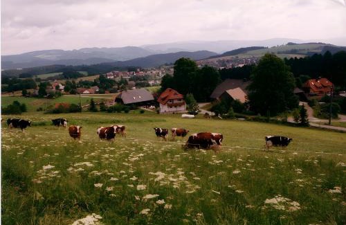 St. Peter im Schwarzwald Apartment | Family-Friendly Getaway at Ferien auf dem Steingrubenhof