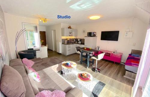 Brueggen Apartment | Pet-Friendly Retreat at Ferien im FerienStudio1A