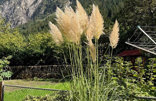 Gurtnellen Apartment | Comfortable Getaway Near Andermatt with Spa and Hot Tub