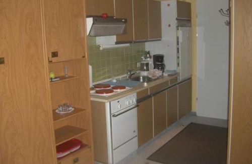 Bad Grund Apartment | Panoramablick Penthouse & Studio: Pet-Friendly Retreat