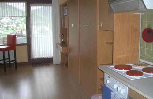 Bad Grund Apartment | Panoramablick Penthouse & Studio: Pet-Friendly Retreat