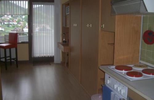 Bad Grund Apartment | Panoramablick Penthouse & Studio: Pet-Friendly Retreat