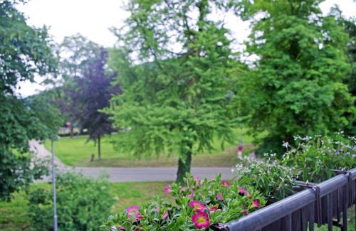 Neckargemuend Apartment | Pet-Friendly Ferien-Wohnung am Menzer-Park for Families
