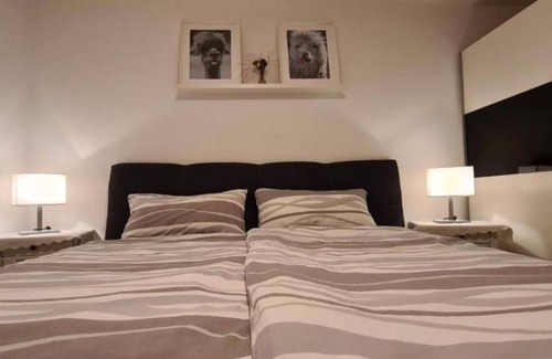 Gruensfeld Apartment | Cozy Ferienapartment "Wilma" with Kitchen & Terrace in Taubertal