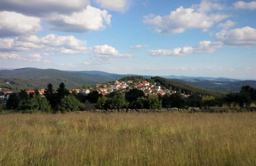 Finsterau Apartment | Child-Friendly Retreat at Ferienappartements Fam. Haselberger