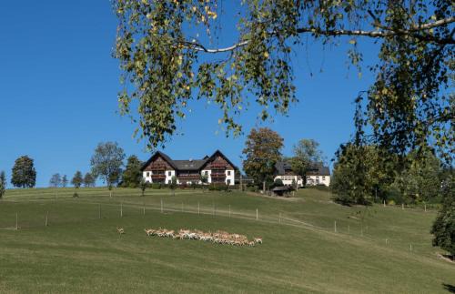 Presseck Apartment | Pet-Friendly Ferienappartements Rausch - Rated 8.8/10!