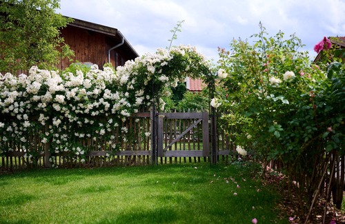 Bad Wiessee Apartment | Guest Rated 10/10: Ferienappartment Lederhosn with Ocean View