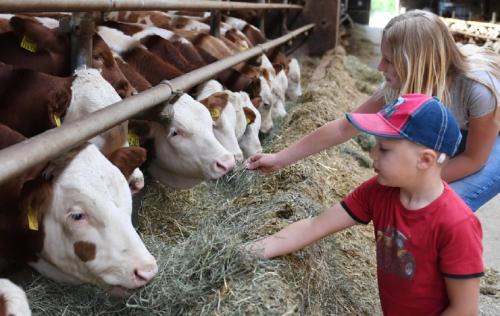 Gunzenhausen House | Family-Friendly Getaway at Ferienbauernhof Schuler
