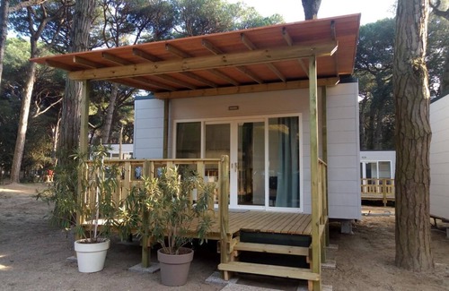 Lido di Spina House | Pet-Friendly Beach Retreat with Pool and Ocean Views