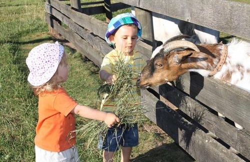 Aue Resort | Family-Friendly Feriendorf Nehmeier with 8.5/10 Rating