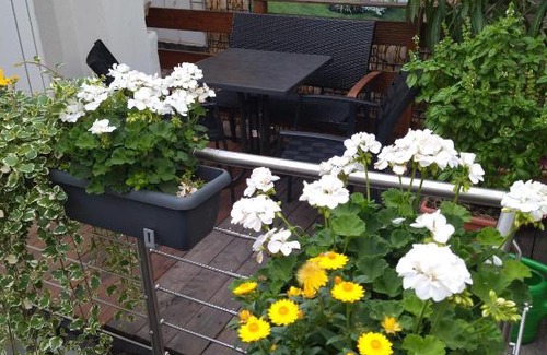 Deidesheim House | Family-Friendly Ferienhäuschen am Heumarkt - Rated 8.4/10