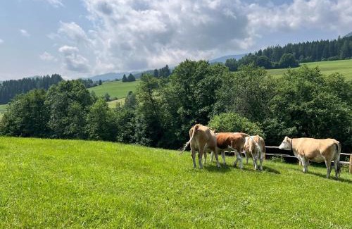 Mariahof Apartment | Pet-Friendly Ferienhäuschen in Mariahof - Rated 9.4/10