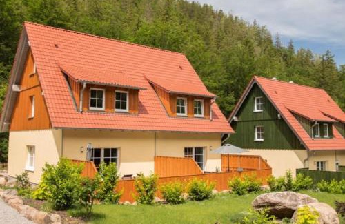 Ilsenburg House | Pet-Friendly Ferienhäuser Ilsestein: Perfect for Families