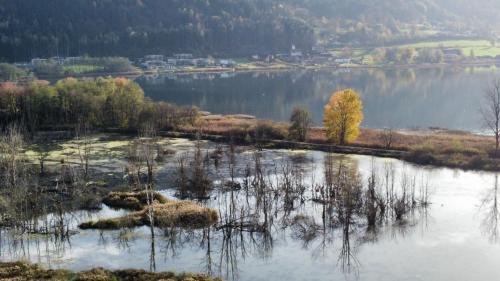 Steindorf am Ossiacher See House | Oceanfront Retreat: Ferienhaus Natura 2000 with Ocean Views