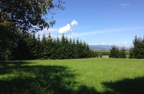 Allersdorf House | Welcoming Ferienhaus Murtal: Pet-Friendly Retreat Awaits