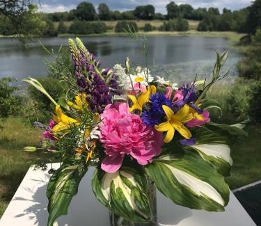 Ponitz am See House | Explore Ferienhaeuser Poenitz am See - Pet & Child Friendly