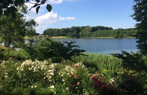 Ponitz am See House | Explore Ferienhaeuser Poenitz am See - Pet & Child Friendly